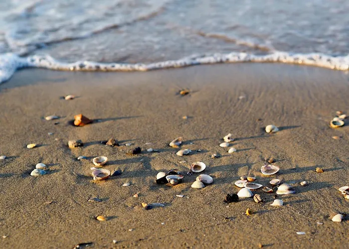 Lejlighed In 37971 Bibione